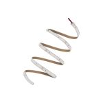 Ledvance Rubans LED Value 1000 40W 3800lm 24v - 830 Blanc Chaud | IP66 - 5M/10mm
